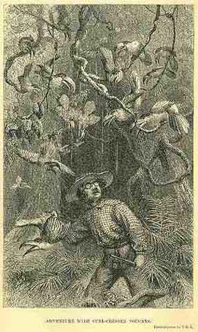 (Henry Walter Bates with curl-crested toucans)