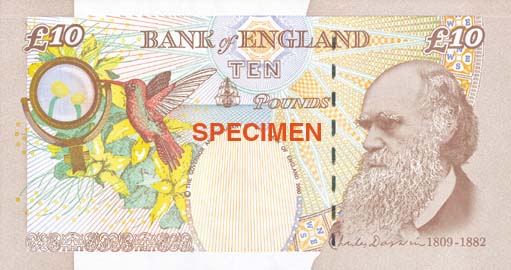 Darwin on &pound;10 note