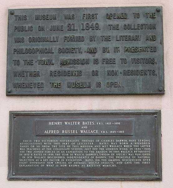The Bates-Wallace plaque, Leicester Museum